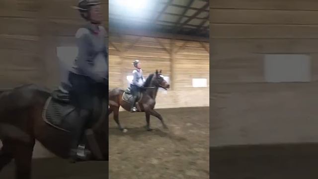 Shooter Blue Moon Stables смотреть онлайн