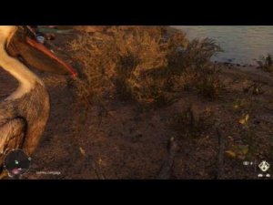По секрету Far Cry 6 Тайник пеликана