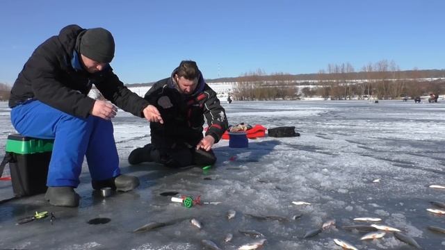 СУПЕР УЛОВ!!! Ловля плотвы зимой | Зимняя рыбалка на мормышку |Пулемётный клёв плотвы!!! смотреть онлайн
