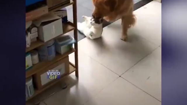 Мама зовёт кушать. Всех! смотреть онлайн