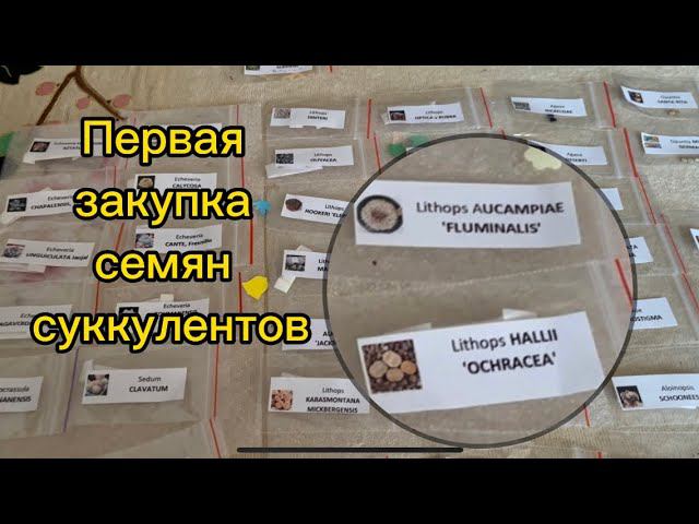 Семена суккулентов / Первая покупка разных видов суккулентов / Продавец положил подарки смотреть онлайн