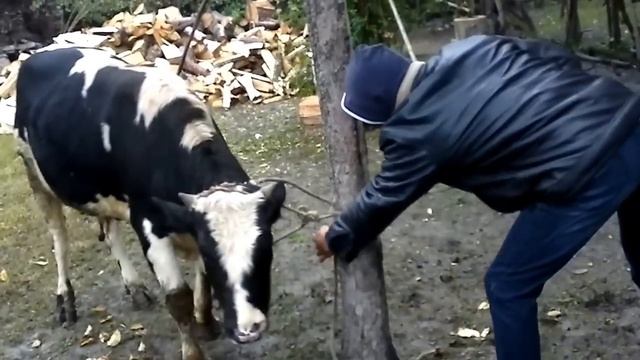 Одним Ударом смотреть онлайн