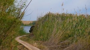 Ловля трофейного КАРПА от А до Я. Карпфишинг для новичков!