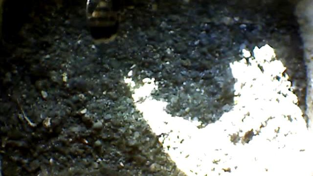 From Internet Camera(Turmfalken[03:1A:A5])2014/06/30,18:25:04_D смотреть онлайн
