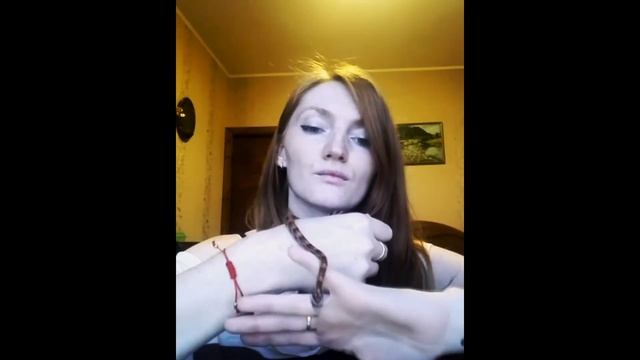 МАИСОВЫЙ ПОЛОЗ 2месяца смотреть онлайн