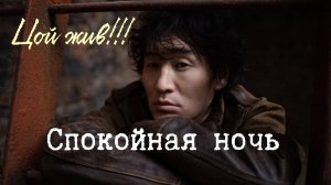 🎧 ЦОЙ ЖИВ!!! Пётр Погодаев - Спокойная ночь (КИНО Cover) 🎸