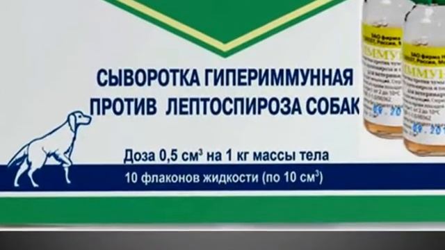 Видеозанятие 9. Специфическая профилактика инфекционных болезней смотреть онлайн