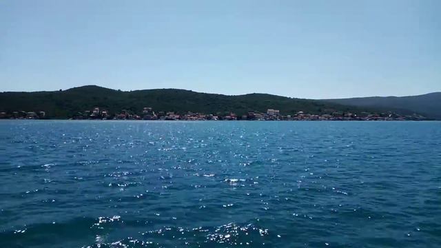 Остров Цветов и Страдиоти смотреть онлайн