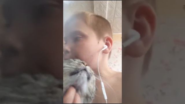 когда 100 подписчиков смотреть онлайн