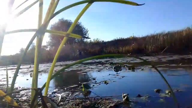 Ловля КРУПНОГО РОТАНА на ПОПЛАВОК осенью!!! Я вижу впервые ЦЫГАНЕЙ на РЫБАЛКЕ?!!! смотреть онлайн