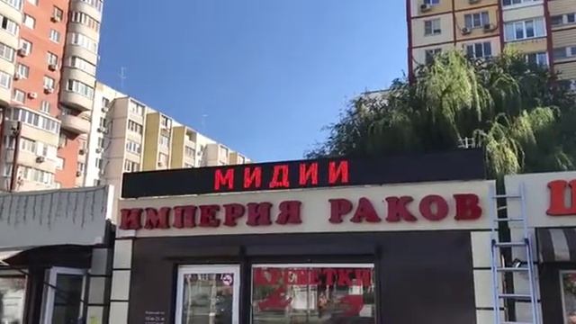 для магазина "Империя Раков". смотреть онлайн