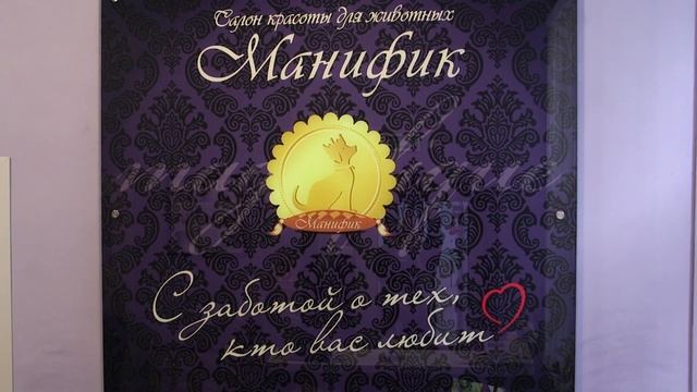 Как самостоятельно ухаживать за шерстью собак. Как и чем нужно вычесывать питомца? Подбор косметик смотреть онлайн