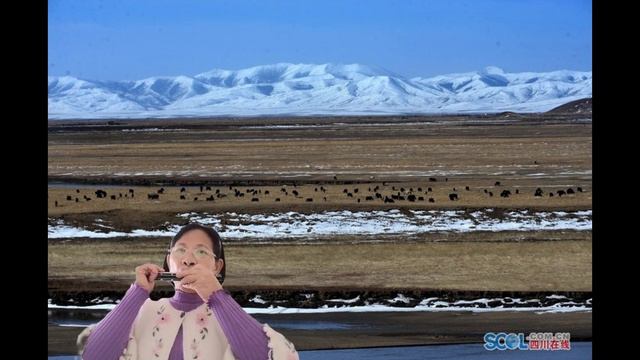 草原之夜 口琴演奏 动态歌谱伴奏 смотреть онлайн