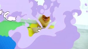 Влад и мама выбирают новых домашних животных