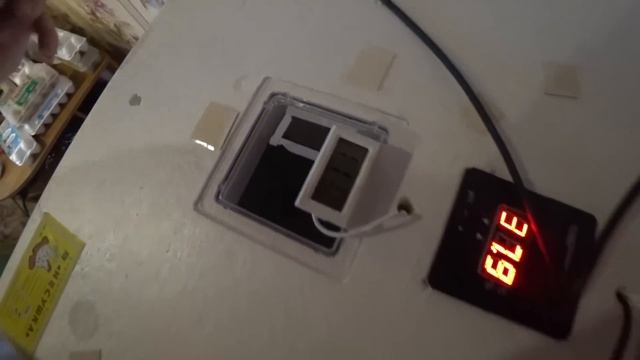 Поставил вентиляторы в инкубатор. ЧТО В ИТОГЕ? смотреть онлайн