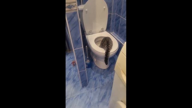 Там есть кто - нибудь? смотреть онлайн