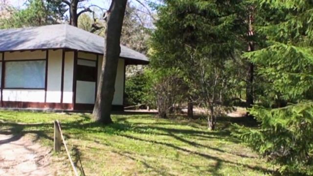 2022 Японские мелодии дзэн в Ботаническом саду 17мин. 1320 4к
植物園の日本の禅のメロディー смотреть онлайн