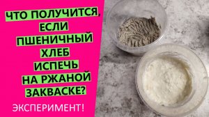 Можно ли печь ??пшеничный хлеб на ржаной закваске? НАГЛЯДНЫЙ ЭКСПЕРИМЕНТ!