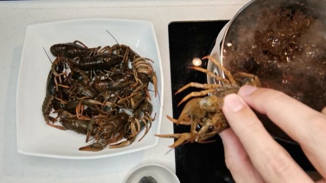 Готовка на Открытом Воздухе