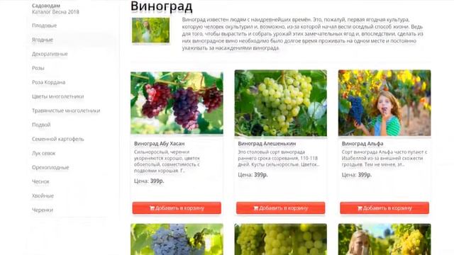 Саженцы Винограда ЗЛАТПИТОМНИК смотреть онлайн