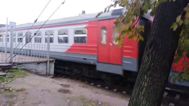 Электропоезд ЭД4М-0420 на станции Царское село смотреть онлайн