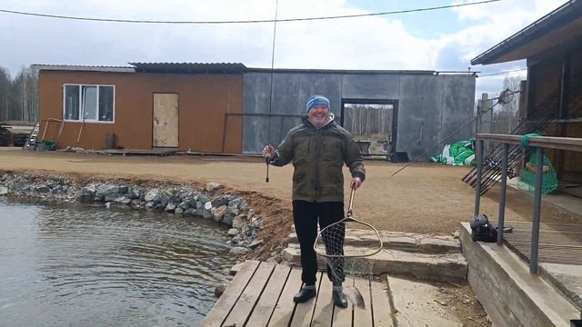 Форель на платнике ... за час смотреть онлайн