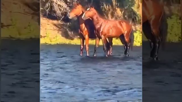 Прекрасная сильная МУЗЫКА для поднятия тонуса. Могучее звучание МУЗЫКИ как шум реки. смотреть онлайн