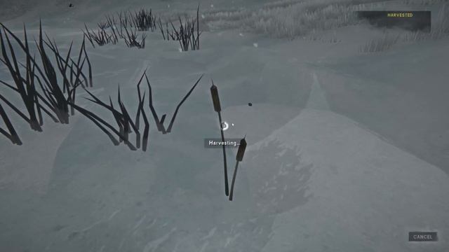 The Long Dark - DEADWORLD Challenge - Episode 45 смотреть онлайн