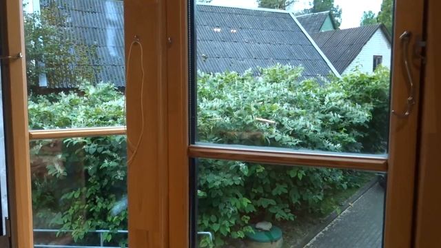 Музей в Моседисе (Литва) приглашает в мир камней смотреть онлайн