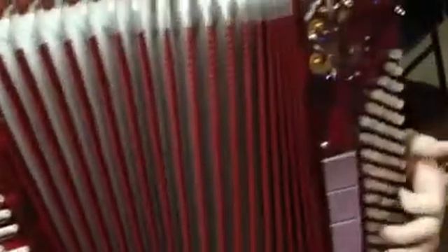 Ballone Burini Acordeon Gaita Sanfona смотреть онлайн