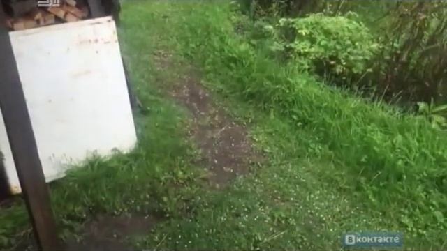 Град прошел в Челябинской области ВИДЕО смотреть онлайн