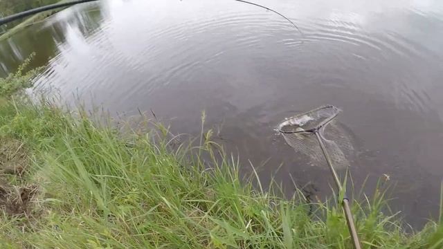 Тизер. Рыбалка на рыбхозе Белое. смотреть онлайн