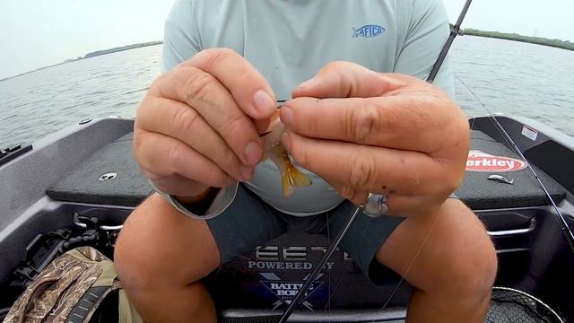 HOW TO Rig the NEW Berkley PowerBait Gilly смотреть онлайн