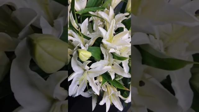 Букет Москва смотреть онлайн