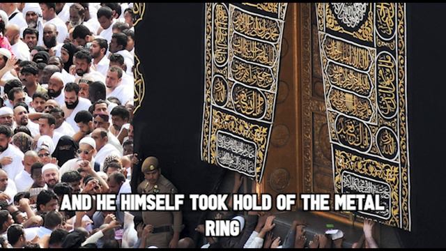 The Year of the Elephant смотреть онлайн