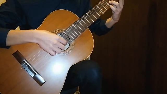 Giuliani Etude Op. 48 No. 1 смотреть онлайн