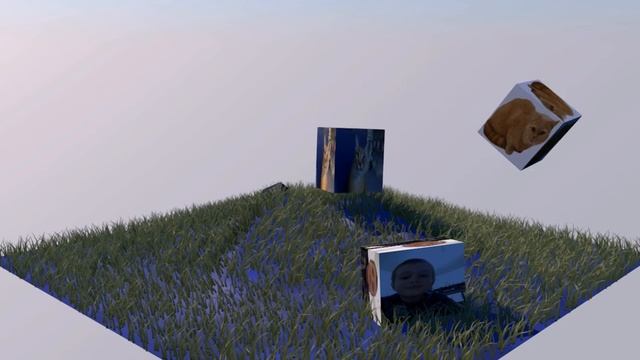 коты подрались смотреть онлайн