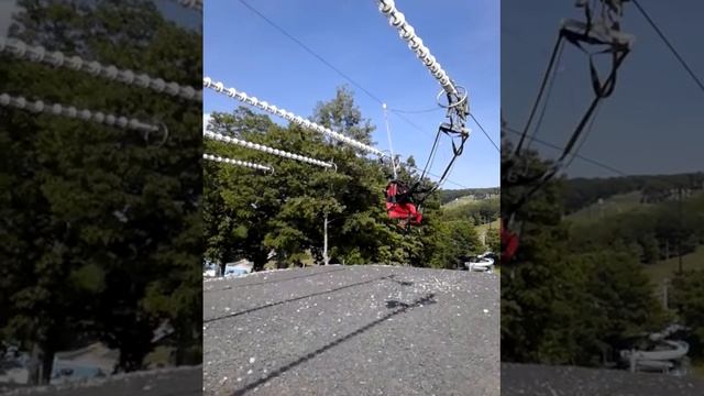 Joyce's zip loop смотреть онлайн