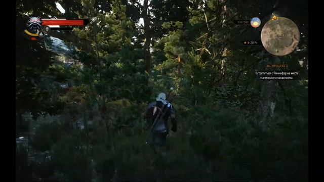 The Witcher 3: Wild Hunt. Прохождение #110: Шоковая терапия смотреть онлайн
