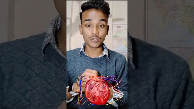 Difference between heart attack heart failure and cardiac arrest смотреть онлайн