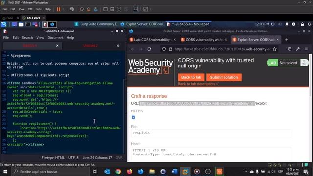 Lab CORS vulnerability with trusted null origin смотреть онлайн