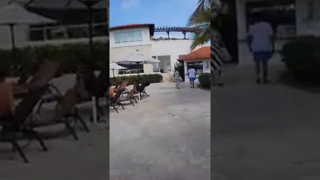 Dreams Dominicus La Romana Walkthrough 6 - Waypoint Travel-Waypoint Travel