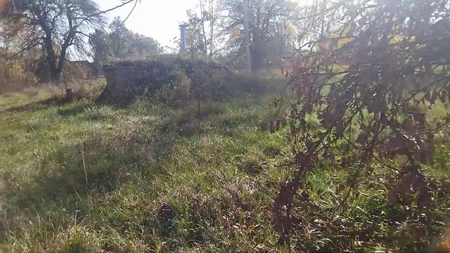 Купили дом с большим участком в деревне смотреть онлайн