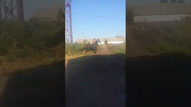 Наманган учкурган улок смотреть онлайн