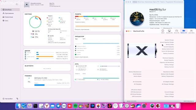 2 ПРОГРАММЫ МОНИТОРИНГА MACOS! MACHINE PROFILE / ISTATISTICA PRO! смотреть онлайн