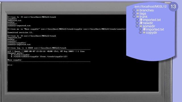 304_01-Subversion: move-URL;move and rename files and directories directly смотреть онлайн