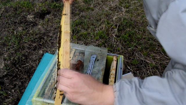 Это была не ошибка! смотреть онлайн