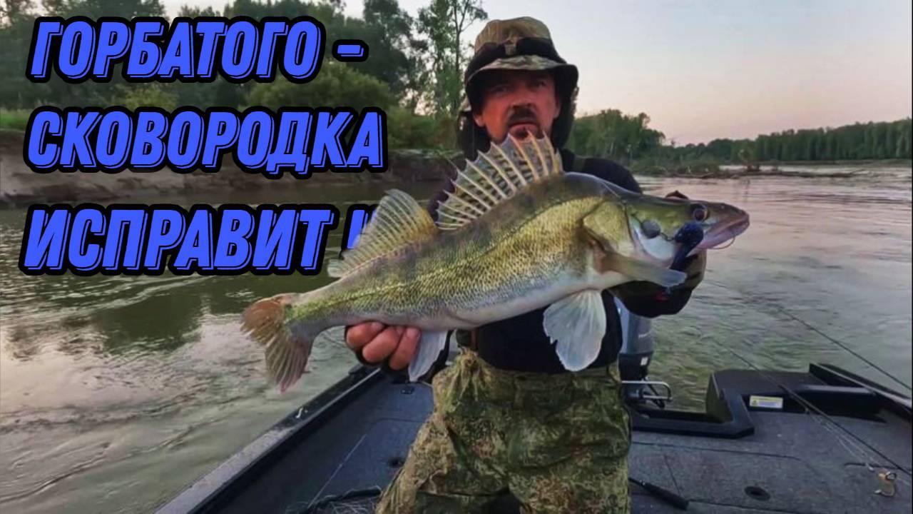 ГОРБАТОГО - СКОВОРОДКА ИСПРАВИТ !!! Рыбалка на Оби 2 августа 2024г. смотреть онлайн