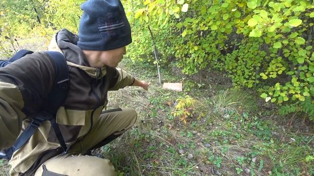 Охота на зайца и дикого кролика! смотреть онлайн