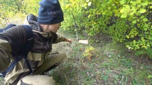 Охота на зайца и дикого кролика!